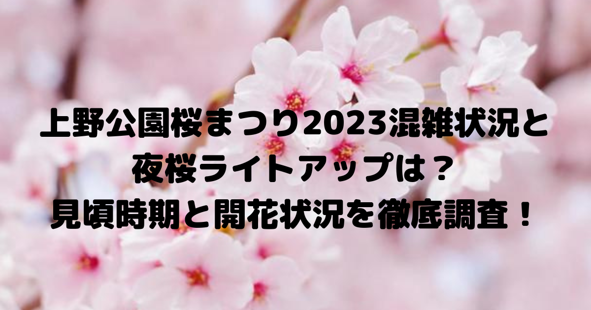 上野公園桜まつり2023混雑状況と夜桜ライトアップは？見頃時期と開花状況を徹底調査！